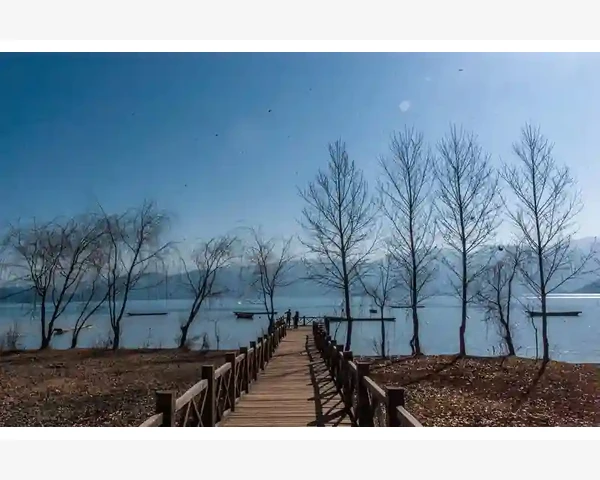 橘红颗粒化痰健脾丸——中医科普文章
